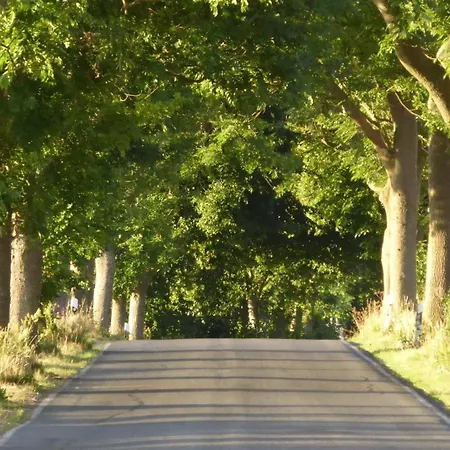 Gut Rattelvitz, Galerie D Ost דירה Gingst