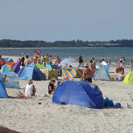 Gut Rattelvitz, Galerie D Ost Gingst